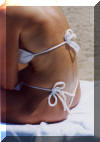 Exotic bikini swimsuits, buy womens swim wear and swimsuits online from the Brigitewear catalog. Fine French designer women's G string swimwear and beachwear