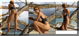 The Versailles one piece topless thong swimsuit by Brigitewear